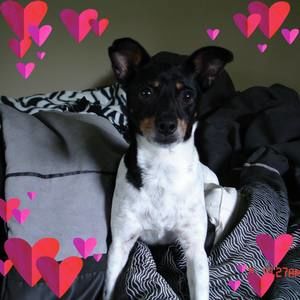 Meet your Posher, Melisa